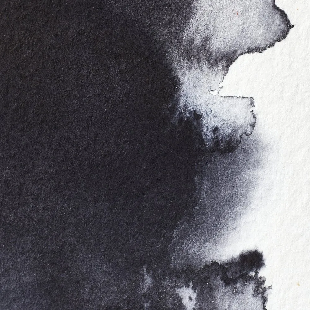 Professional Watercolour - Neutral Tint